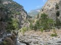IMG_2259 - Copy